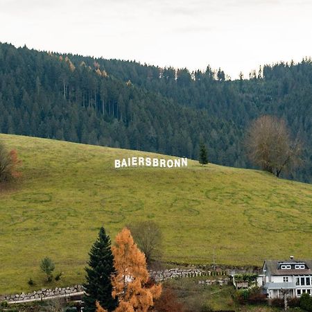 Haus Irene Gemuetlich Moderner Schwarzwald Daire Baiersbronn Dış mekan fotoğraf