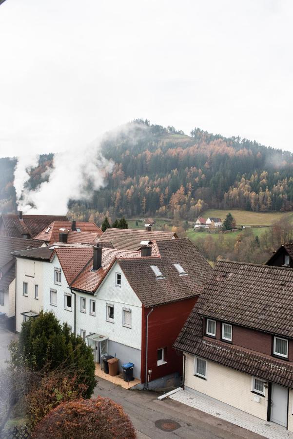 Haus Irene Gemuetlich Moderner Schwarzwald Daire Baiersbronn Dış mekan fotoğraf